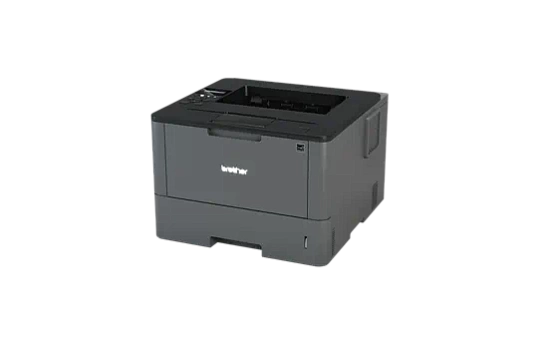 Принтер Brother HL-L5100DN